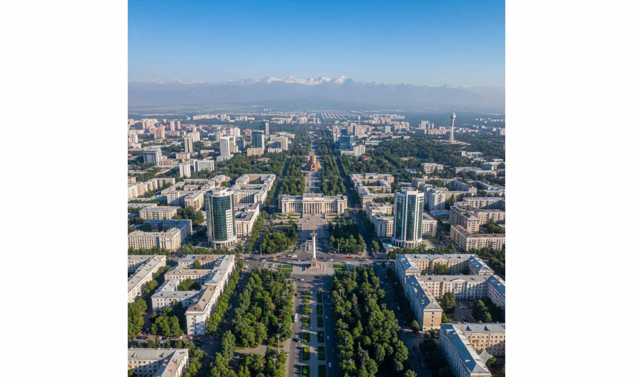 Новые инициативы по реформированию миграционной политики